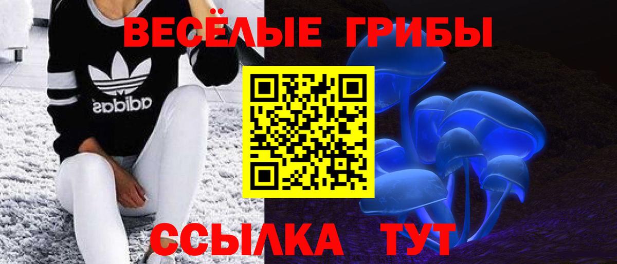 Псилоцибиновые грибы MAGIC MUSHROOMS  наркотики  Ялуторовск  Вход с VPN 